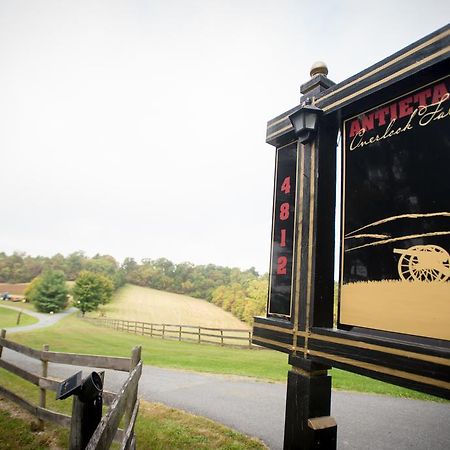 Antietam Overlook Farm Rohrersville Extérieur photo